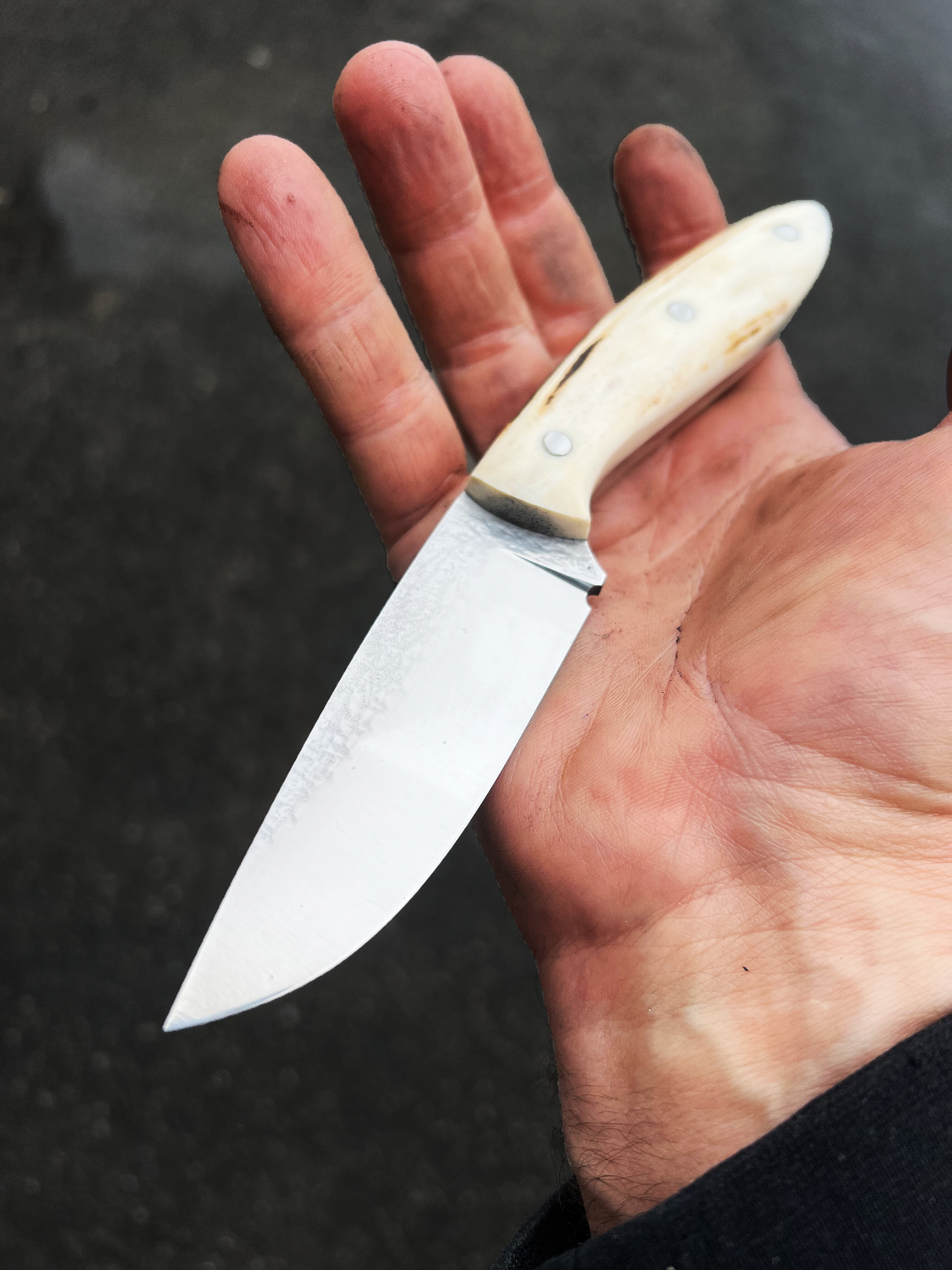 Mod. 6