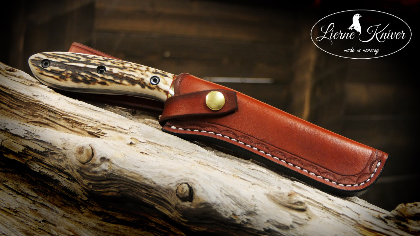 1of1 special edition (collector)