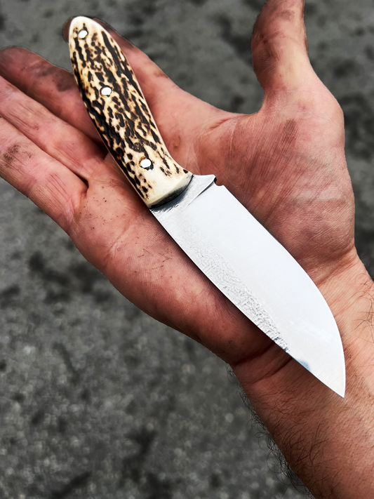 Mod. 6/D