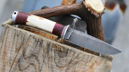 Mod. 5