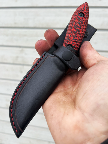 Mod. 6