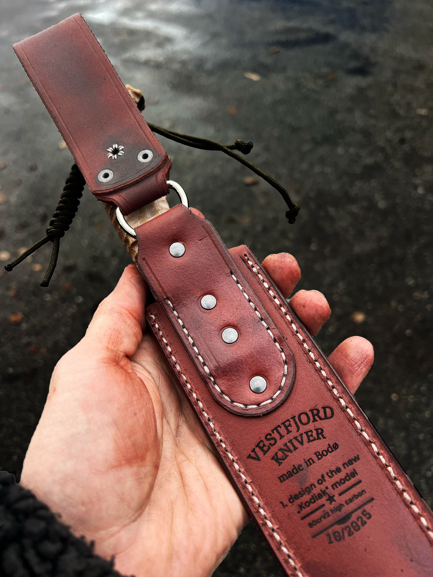 „KODIAK" First Edition