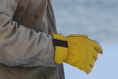 Montana Leather Gloves