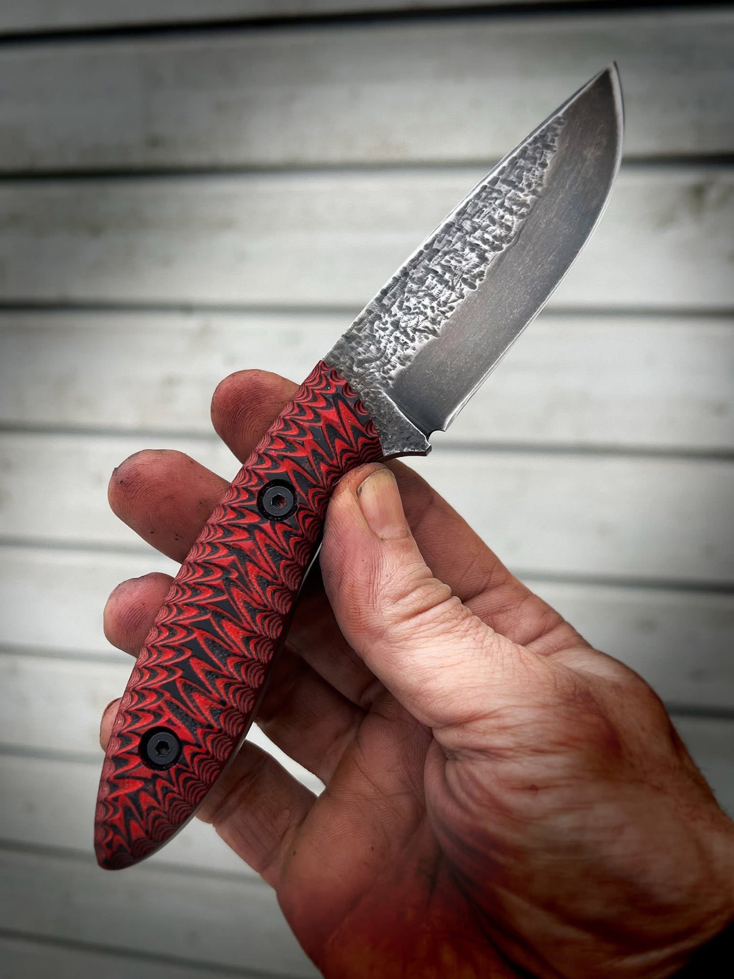 Mod. 6