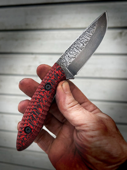 Mod. 6