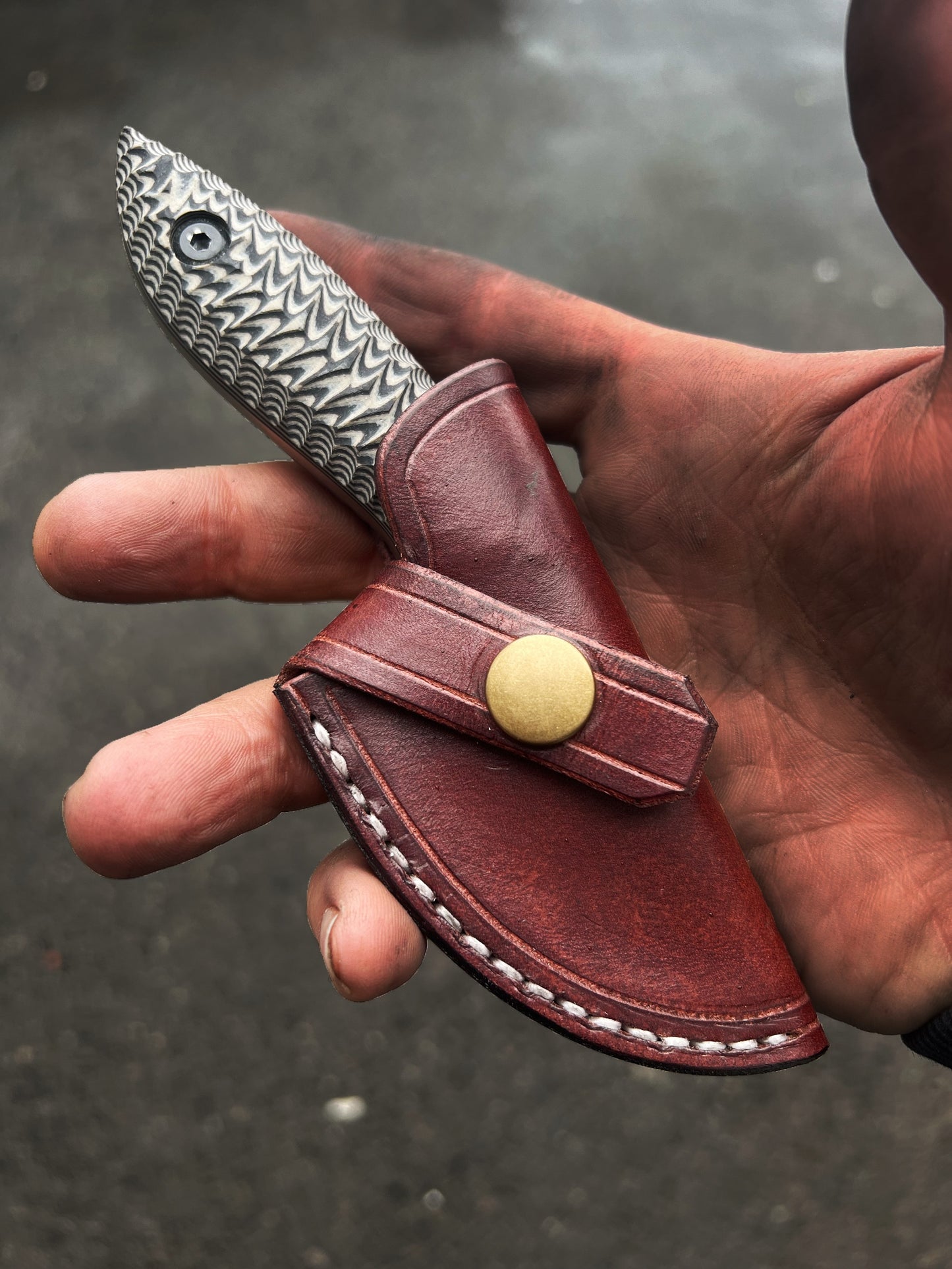Skinner “new design”