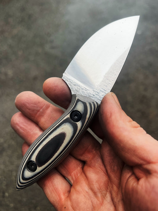 Skinner “new design”