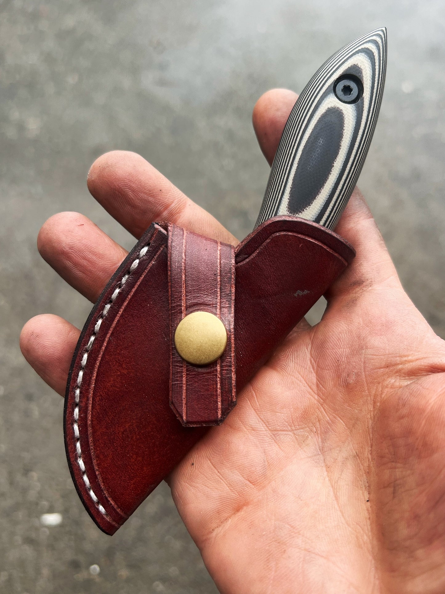 Skinner “new design”